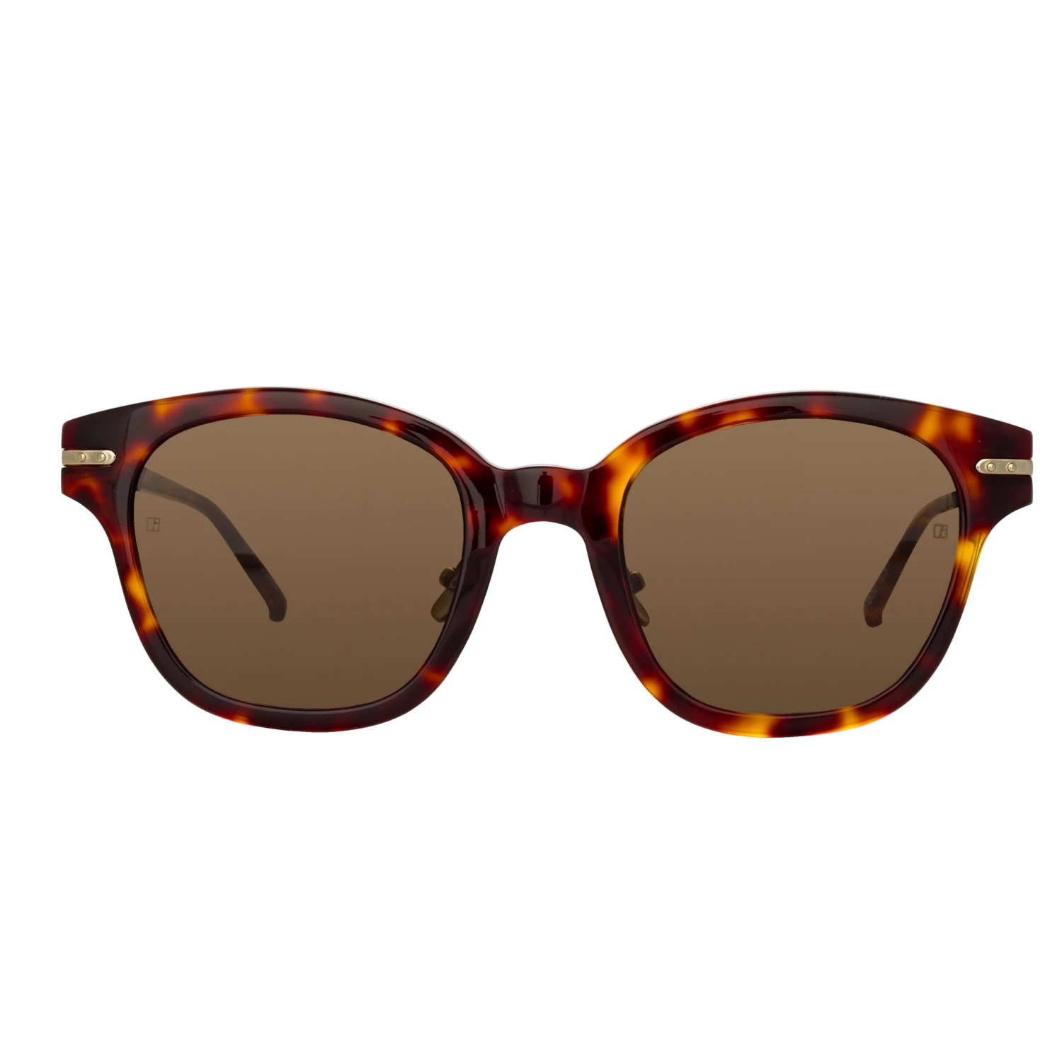 Linda Farrow Linear Women's Atkins D-Frame Sunglasses In Tortoiseshell (Men's) 1 Linda Farrow Linear Women's Atkins D-Frame Sunglasses In Tortoiseshell (Men's)